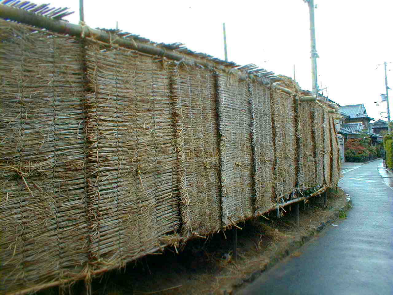 茶園の覆（おおい）に籠められた繊細な想いと栽培 Traditional agriculture that covers the tea plantation with rice straw._a0391480_20055199.jpg