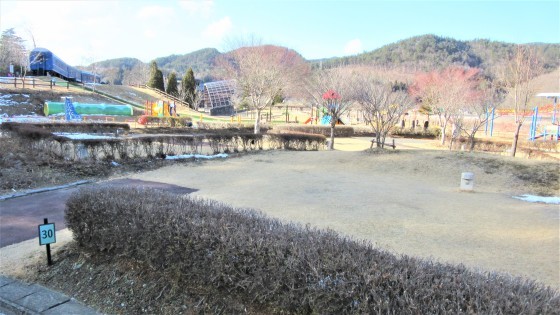 現在までの報告です。_b0219993_17092218.jpg