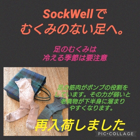 SockWell_f0218407_09563827.jpg