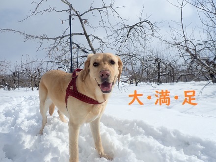 久し振りの夫婦。_c0182012_12411177.jpg
