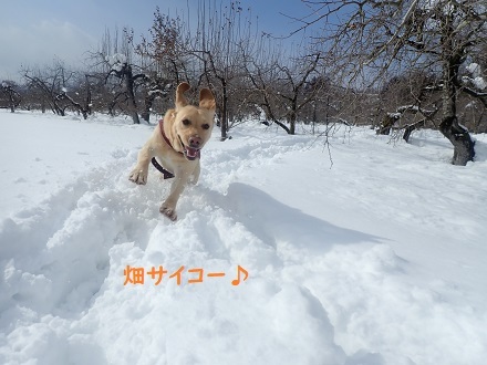 久し振りの夫婦。_c0182012_12411352.jpg