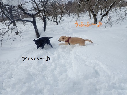久し振りの夫婦。_c0182012_12411519.jpg
