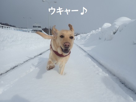 久し振りの夫婦。_c0182012_12411784.jpg