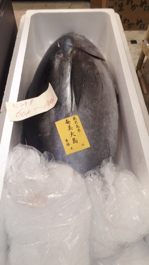 マグロ🐟最後の決戦の金曜日_b0133713_18465993.jpg