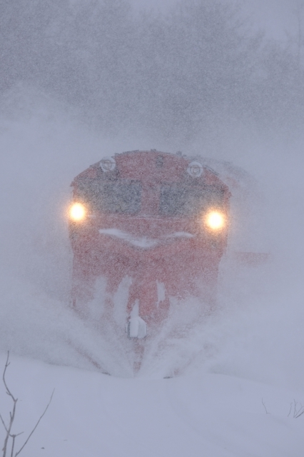 サロベツ原野 ラッセル車 _f0050534_10502352.jpg