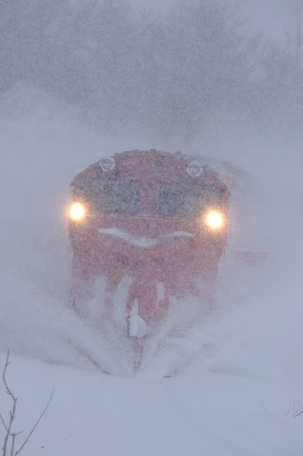 サロベツ原野　ラッセル車　_f0050534_10502352.jpg