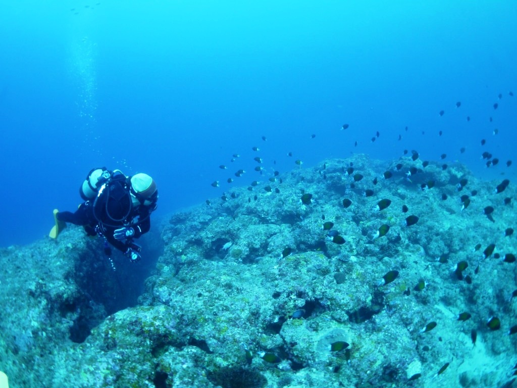 海中も快晴でした\(^o^)/_a0189838_14045298.jpg