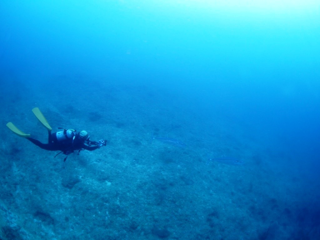 海中も快晴でした\(^o^)/_a0189838_14172614.jpg