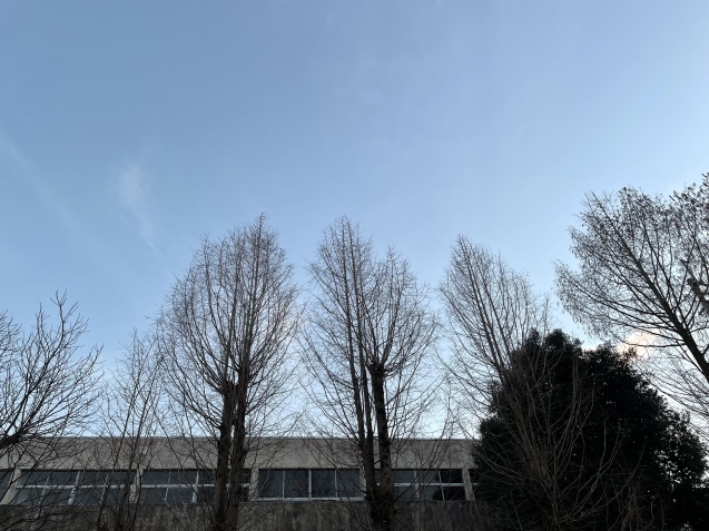 金曜日。_a0394574_21475358.jpeg