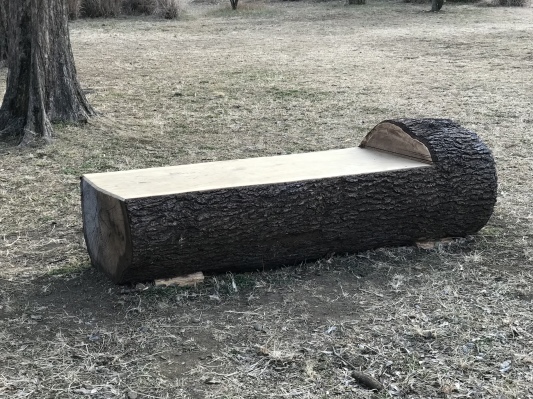 廃物利用!?(公園内の色々)_e0181901_14010432.jpeg