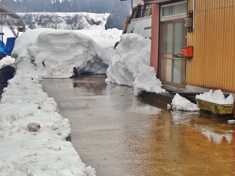 凄いぞ！　流水融雪の力_c0336902_17472170.jpg