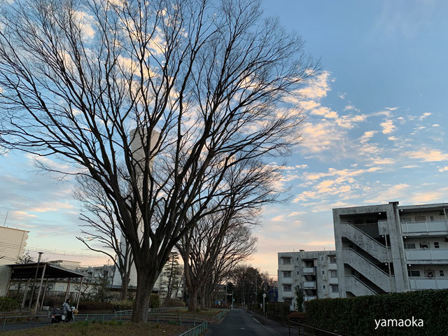 ぼんやりの充実。_f0071480_19172545.jpg