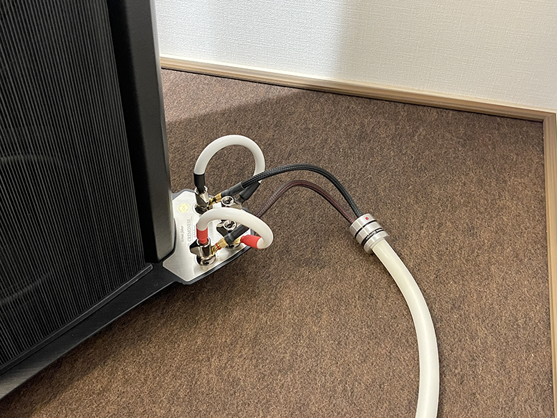 Sonus Faber「イル・クレモネーゼ」の納品_e0404728_16052348.jpeg