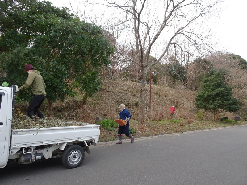 笹の片付けとササユリの球根・種植付・・・自由活動日_c0108460_13450761.jpg