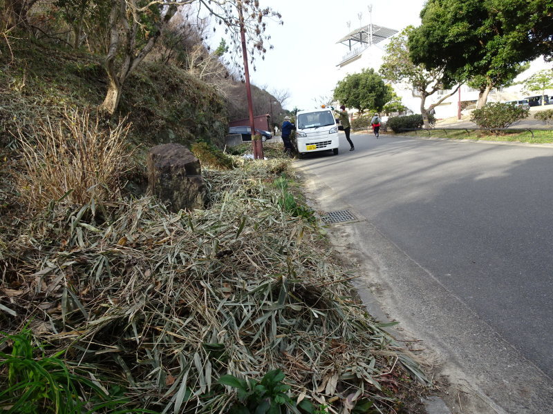 笹の片付けとササユリの球根・種植付・・・自由活動日_c0108460_13450853.jpg