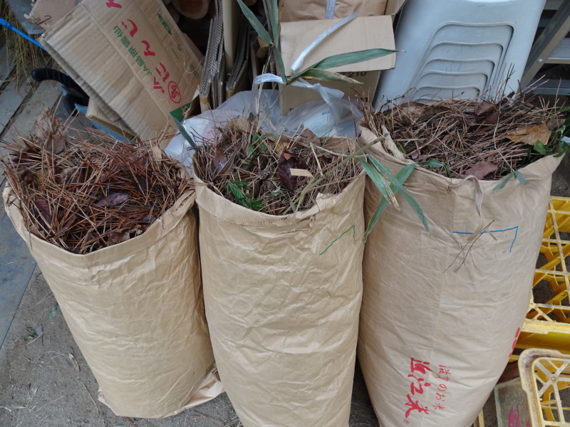 笹の片付けとササユリの球根・種植付・・・自由活動日_c0108460_13450953.jpg