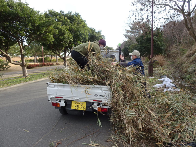 笹の片付けとササユリの球根・種植付・・・自由活動日_c0108460_13450984.jpg