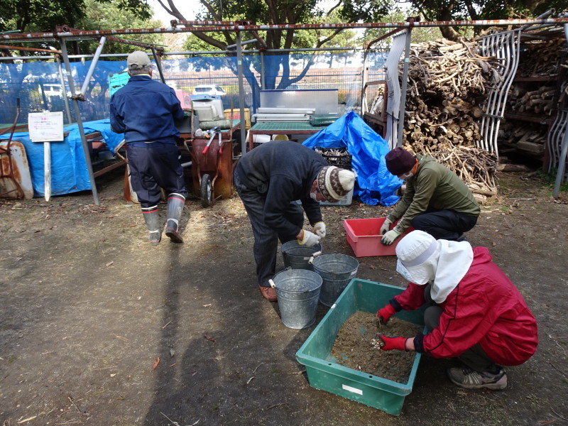 笹の片付けとササユリの球根・種植付・・・自由活動日_c0108460_13491549.jpg