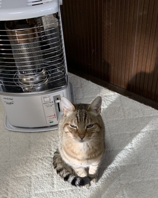 形にする_e0358096_19462566.jpeg