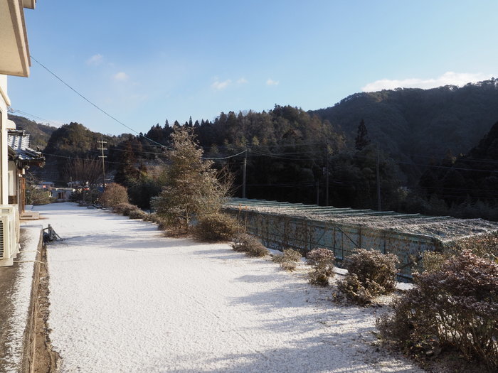 寒山方面と庭など_c0116915_22590974.jpg