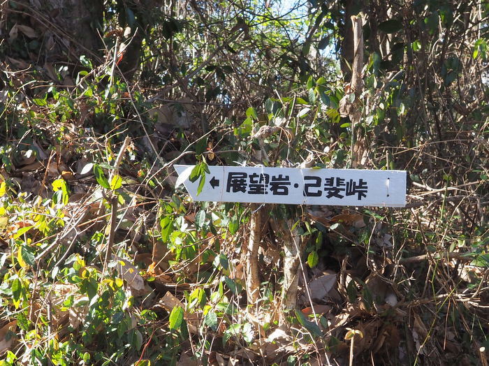 大茶臼山・丸山・観音山・石山・小堀山（広島南アルプス一部縦走）_c0116915_23384970.jpg