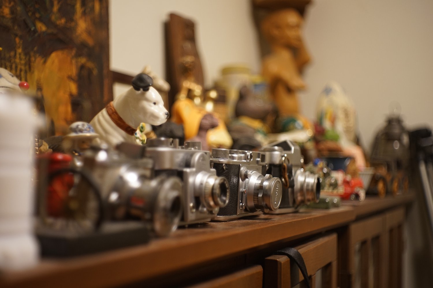 メイヤー光学 Domiplan 50mm F2.8 で 接写など : nakajima akira's