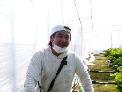 セロリ栽培発祥の地の熊本セロリ『清正人参』 今期(令和3年度)も出荷終了!たくさんのご注文に感謝です!_a0254656_17330776.jpg