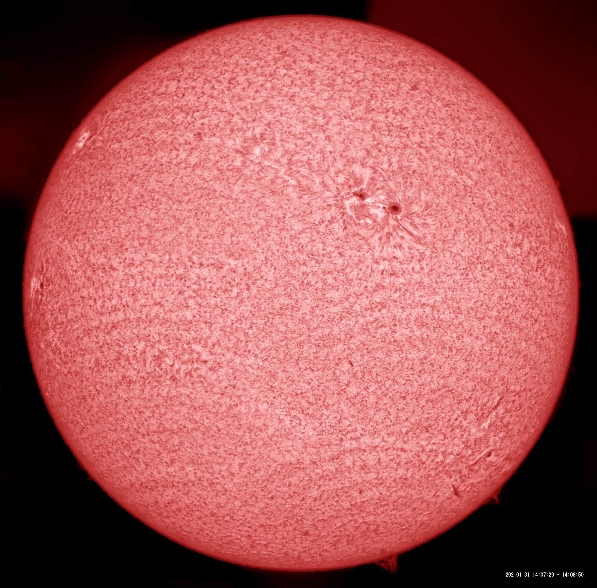 1月31日の太陽 小さなフレア発生_e0174091_17345844.jpg