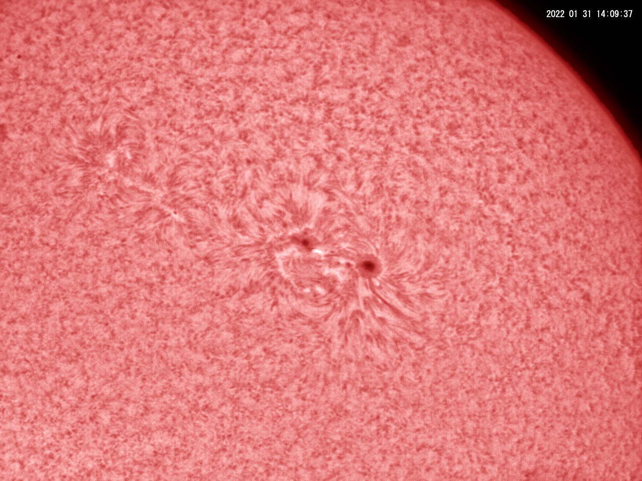 1月31日の太陽 小さなフレア発生_e0174091_17350469.jpg