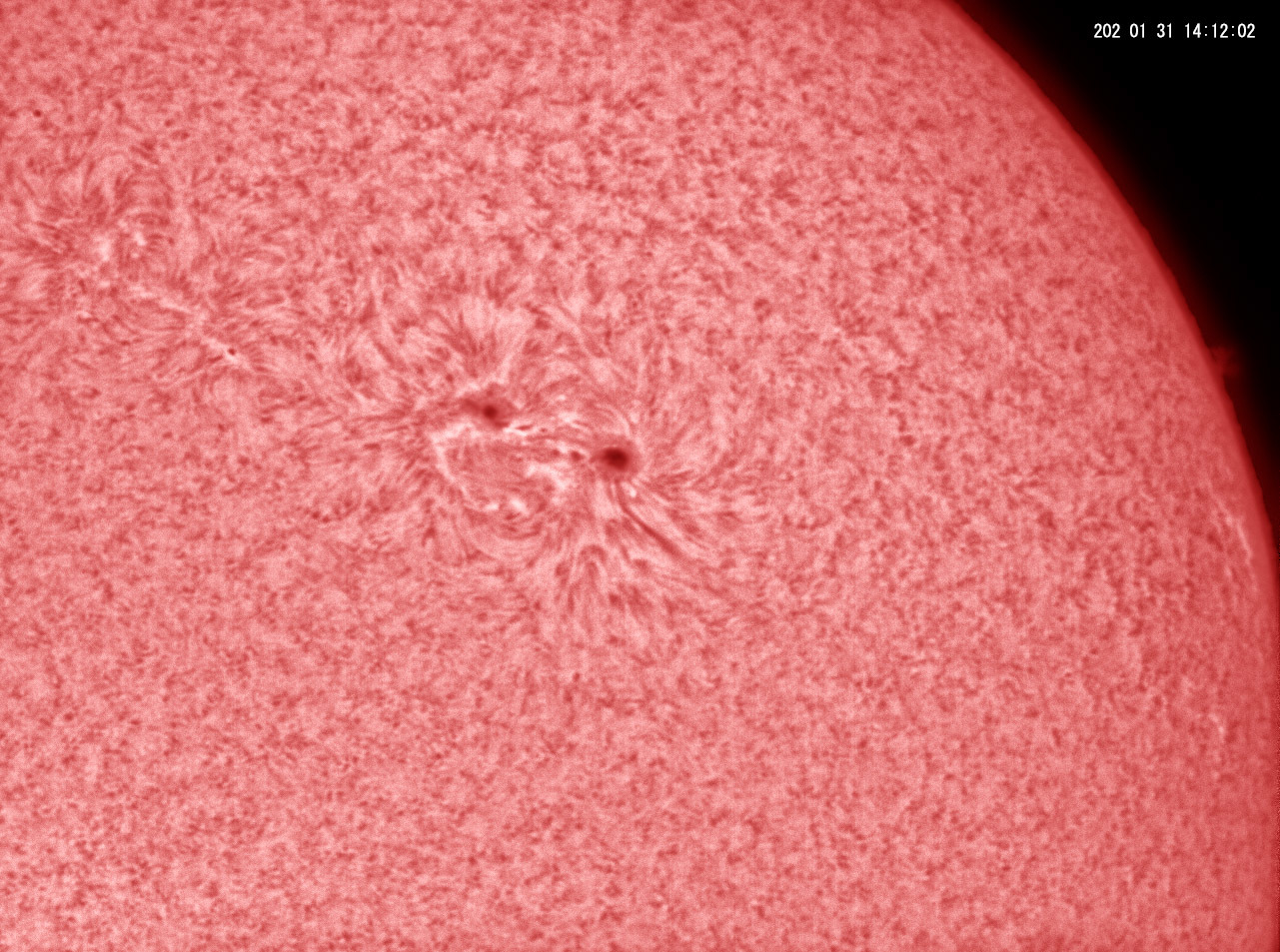 1月31日の太陽 小さなフレア発生_e0174091_17350861.jpg