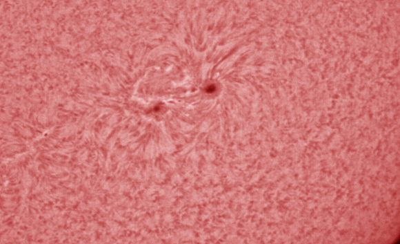 1月31日の太陽 小さなフレア発生_e0174091_17351442.gif