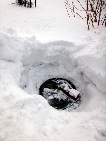増え続ける雪。コンポストの蓋と格闘♪ 多肉さんなど^^_a0136293_16581046.jpg