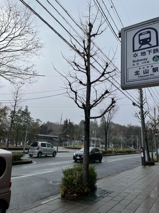 2022年　年始め♪_e0117398_21431574.jpeg