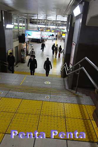 （鉄道）東京：天井が低い上野駅と動物たち_c0227134_19451859.jpg