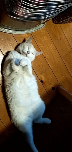 今年の初窯出し_d0195183_21510617.jpg
