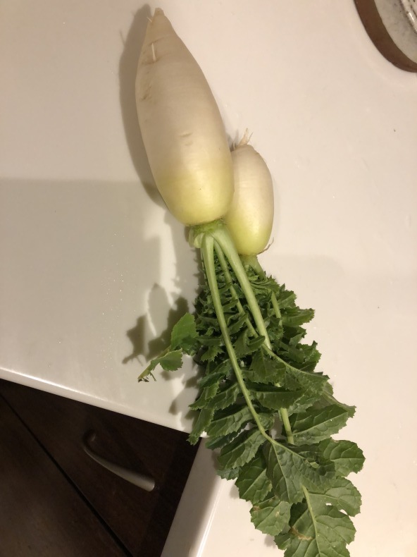 朝採り野菜_a0129492_08534451.jpeg