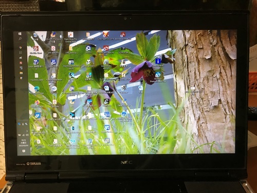 ノートパソコン NEC LL750/HのHDDをSSDに換装しました : as call ノートパソコン NEC LL750/HのHDDをSSDに換装しました : as call