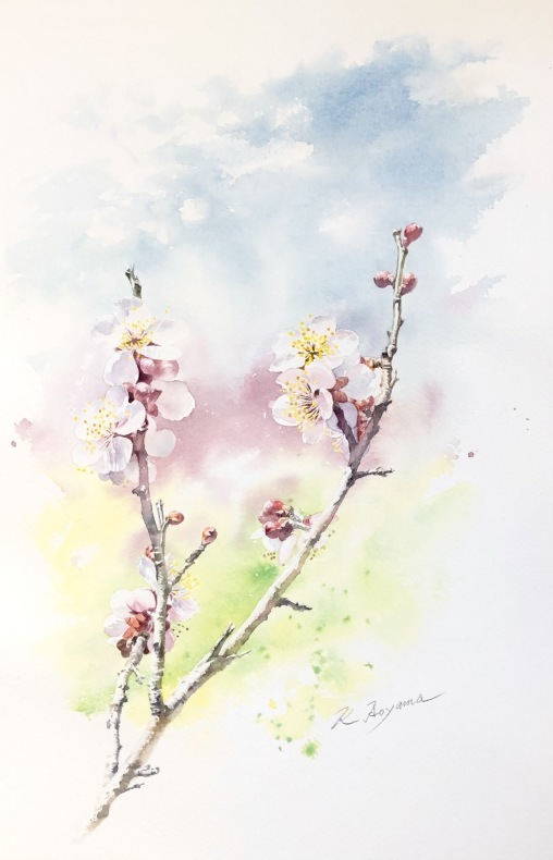 梅の花・・水彩画 : 青山一樹 水彩画のひととき