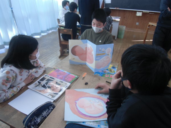 人の誕生 ５年生理科授業 大島町立つつじ小学校