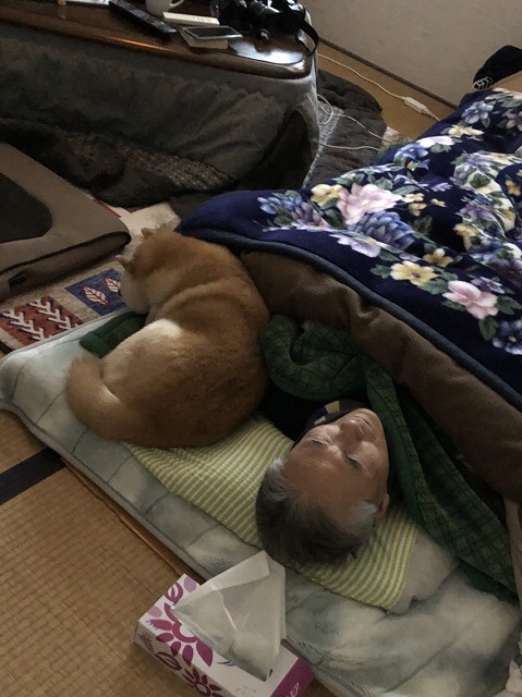 犬と寝る人間_e0374932_10592380.jpg