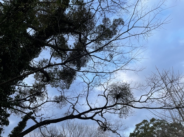 早朝出勤、無事に終える。_a0394574_20374109.jpeg