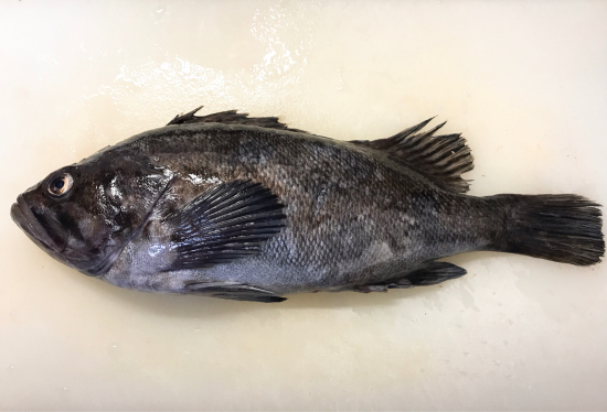 ソイ 北海道 羅臼産 ぼっちオバサン食堂