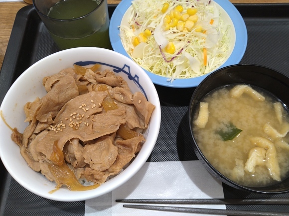 2 4 松屋 新豚めしミニ 300 生野菜サラダ 130 無駄遣いな日々