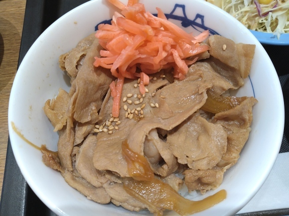 2 4 松屋 新豚めしミニ 300 生野菜サラダ 130 無駄遣いな日々