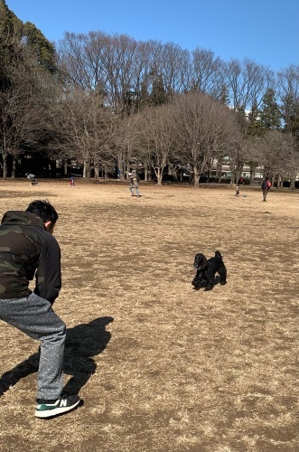 お外でも遊びます~_b0046520_11400941.jpeg