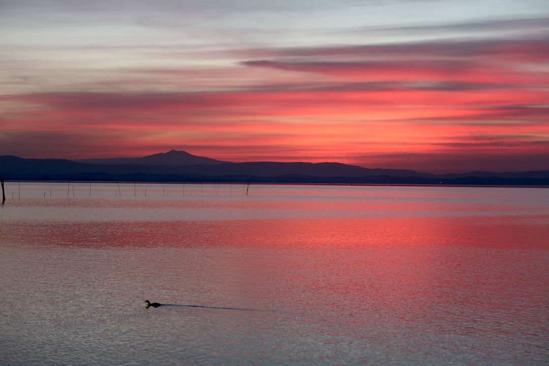 夕焼けに紅のトラジメーノ湖久しぶりに友人と_f0234936_16571766.jpg