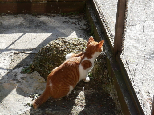 ヤムヤムの野鳥観察会_f0054677_08454905.jpg