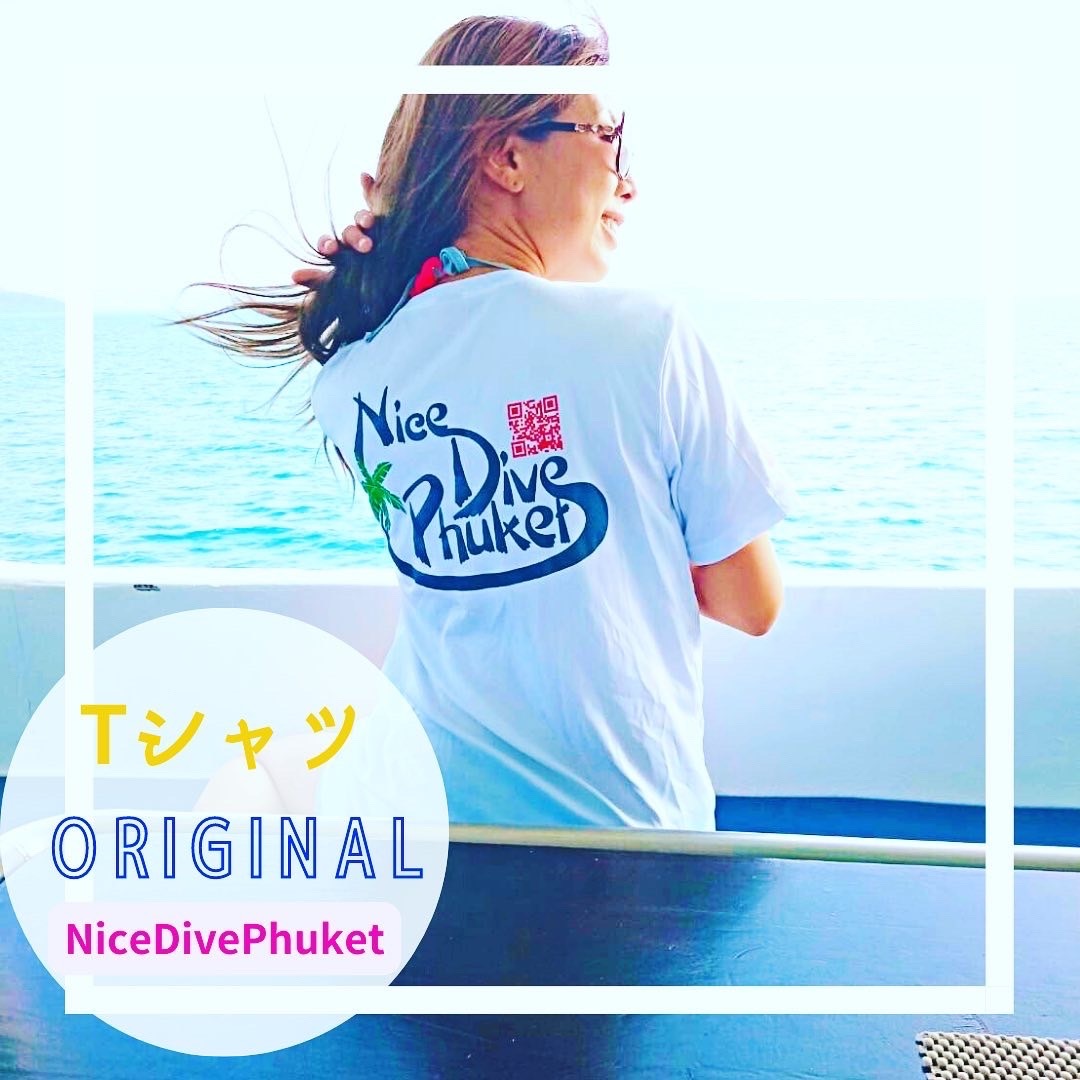 ナイスTシャツ、ニューカラー新調_f0144385_12183811.jpg