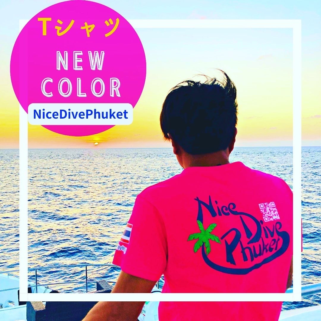 ナイスTシャツ、ニューカラー新調_f0144385_12183840.jpg