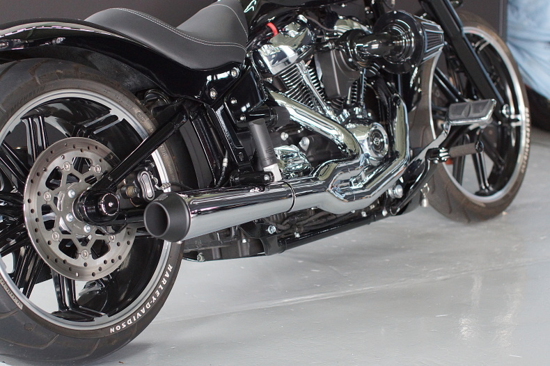 Darth AK様専用 FXBRS ブレイクアウト ライダー用フットペグのみ 『5年